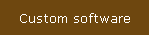 Custom software