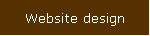 Website design